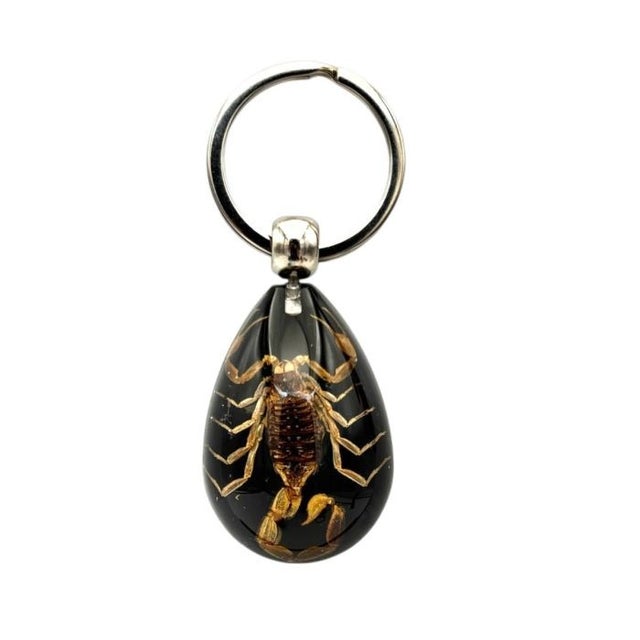 Arizona & Phoenix Keychains | Souvenir Gifts | Eyeconic Arizona