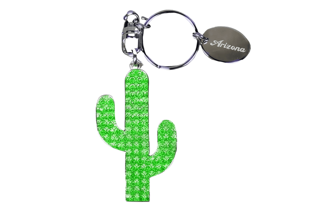 小物・アクセサリー anyu Arizona & Phoenix Keychains | Souvenir Gifts | Eyeconic Arizona
